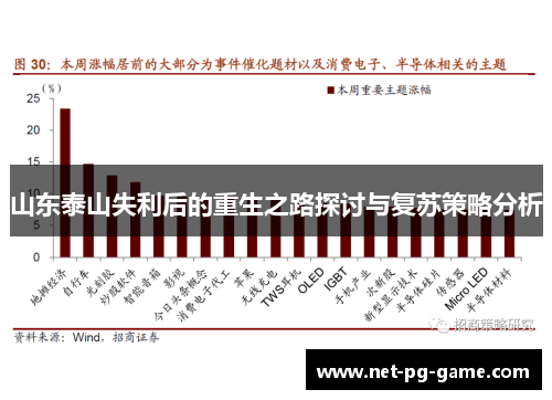 山东泰山失利后的重生之路探讨与复苏策略分析
