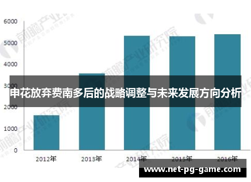 申花放弃费南多后的战略调整与未来发展方向分析