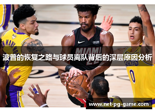 波普的恢复之路与球员离队背后的深层原因分析