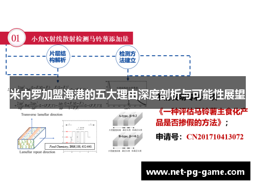 米内罗加盟海港的五大理由深度剖析与可能性展望 米内罗加盟海港的五大理由深度剖析与可能性展望